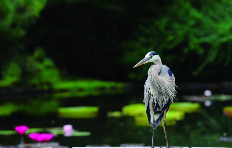 Fun things to do in Hillsborough