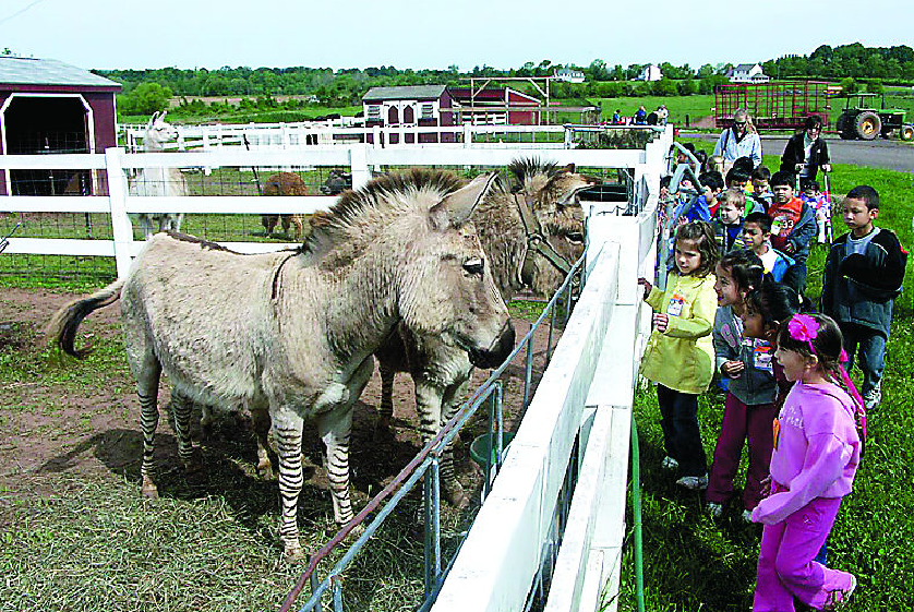 Fun things to do in Hillsborough